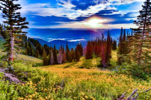 Snowbasin Resort Announces Summer 2021 Schedule