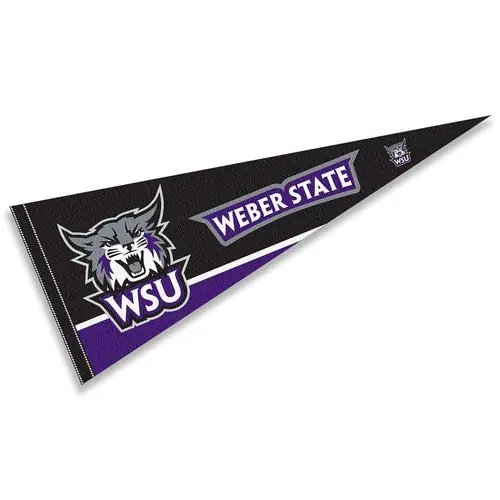 Todays Wildcats, Tomorrows Workforce: Weber State University sets a new record!